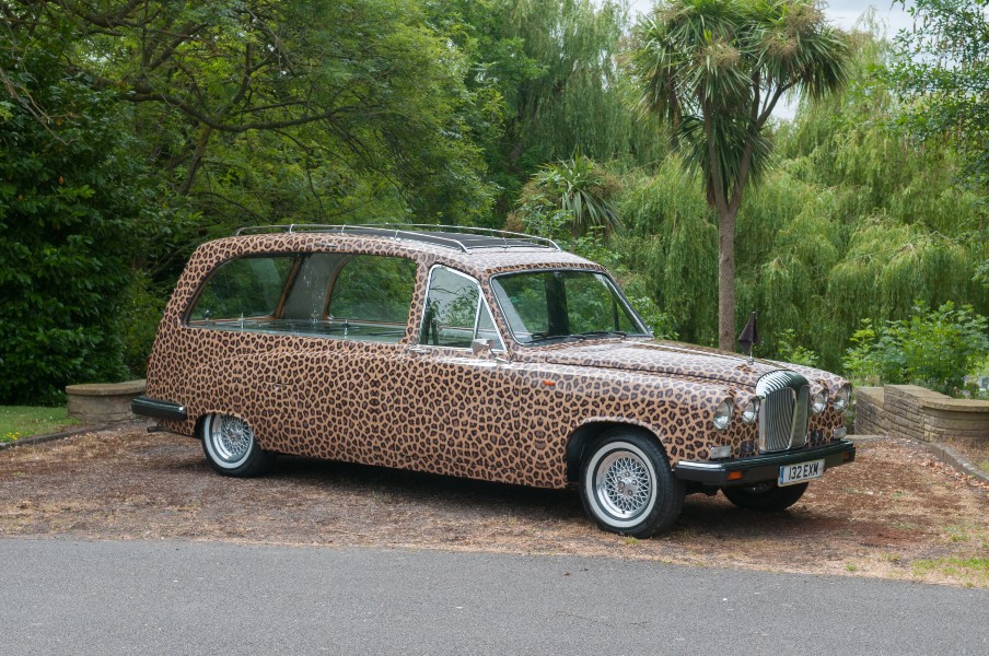 Leopard Print Hearse | Eternal Pages