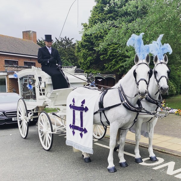 White Horse Drawn Hearse | Eternal Pages